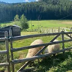 Mysliwski-viva Pod Giewontem Zakopane