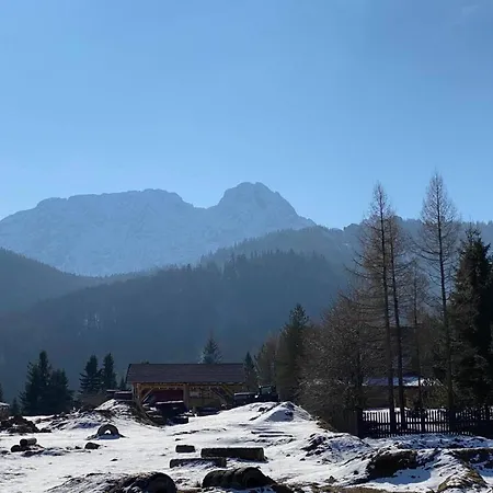 Mysliwski-viva Pod Giewontem 公寓