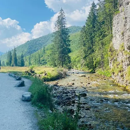 Mysliwski-viva Pod Giewontem Zakopane