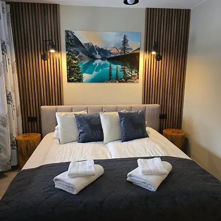 Mysliwski-viva Pod Giewontem 扎科帕内