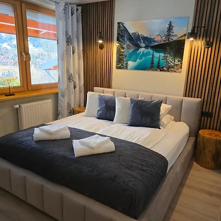 Mysliwski-viva Pod Giewontem 公寓