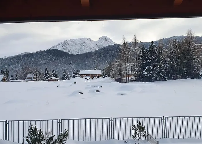 Mysliwski-viva Pod Giewontem 公寓