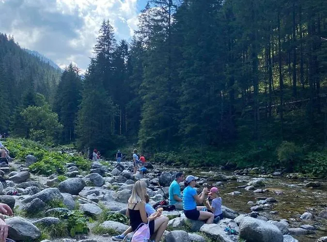 公寓 Mysliwski-viva Pod Giewontem 扎科帕内