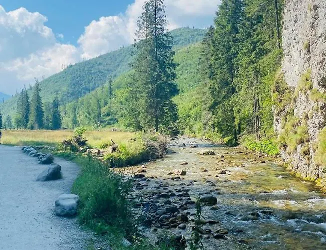 Mysliwski-viva Pod Giewontem 扎科帕内