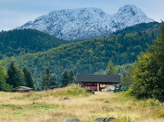 公寓 Mysliwski-viva Pod Giewontem *