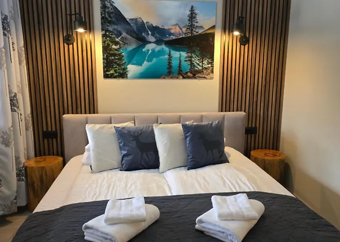 Mysliwski-viva Pod Giewontem 扎科帕内