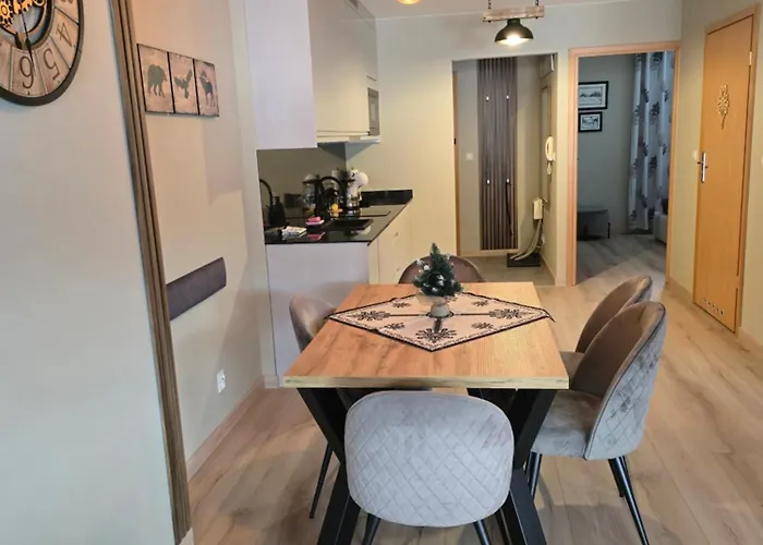 公寓 Mysliwski-viva Pod Giewontem