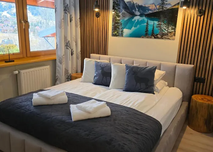 Mysliwski-viva Pod Giewontem 公寓